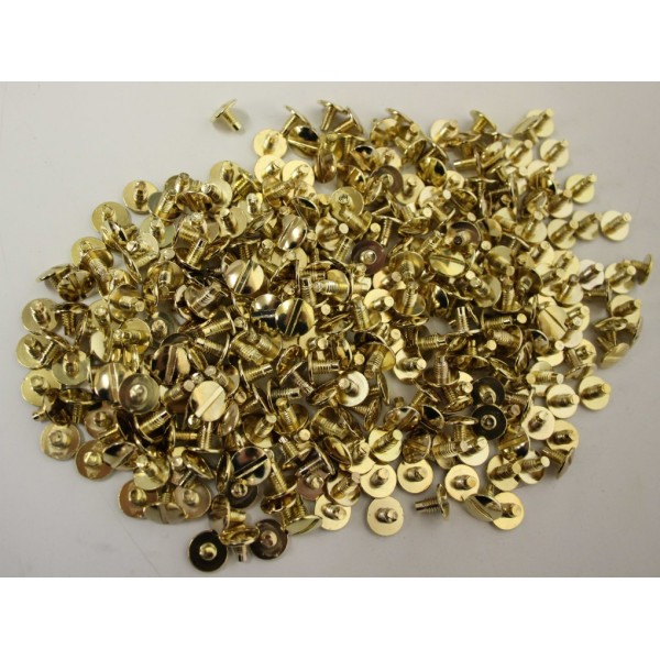 Gold and Silver Effect Screws 